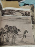 中國明清寫意畫譜 中國歷代經(jīng)典畫譜 三秦出版社 寫意畫作品集 經(jīng)典名畫賞析 文征明古松圖 董其昌仿古山水圖 弘仁山水冊頁 曬單實拍圖