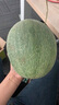 沐瑾海南哈密瓜沙地曉蜜25號(hào)新鮮生鮮水果網(wǎng)紋甜瓜孕婦水果整箱 優(yōu)選丨1個(gè)-試吃裝 曬單實(shí)拍圖