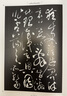 懷素書(shū)法集【套裝2冊】16開(kāi)精裝2冊銅版紙印刷 書(shū)法全集書(shū)法作品集書(shū)法技巧書(shū)法入門(mén)名家書(shū)法 曬單實(shí)拍圖