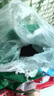 貝斯特錦鯉魚(yú)飼料40斤魚(yú)糧 不渾水增肥增色 錦鯉魚(yú)食金魚(yú)顆粒觀(guān)賞魚(yú)飼料 【速長(cháng)】20kg6號(8mm)上浮料 曬單實(shí)拍圖