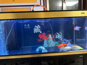 老漁匠增艷魚(yú)缸燈led燈雙燈珠防水三基色紅龍增色燈鸚鵡金魚(yú)錦鯉發(fā)色燈 143cm智能調光　防水定時(shí)【143-160cm缸 曬單實(shí)拍圖