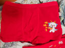 貓人（MiiOW）兒童內褲男童女童本命年套裝平角褲棉質(zhì)中大童大紅喜慶馬年短褲頭 【三角】大紅內褲2條+2雙襪子 2條 160 【建議身高145-155cm】 曬單實(shí)拍圖