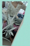 燦圖美式復古直筒牛仔褲女春秋季設計感高腰顯瘦小個(gè)子寬松闊腿褲子女 懷舊色 M 【建議90-110斤】 曬單實(shí)拍圖
