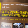 基于Copula理論的多維致災因子風(fēng)險評估技術(shù)研究 曬單實(shí)拍圖
