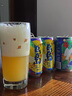 高大師（Master Gao）國產(chǎn)精釀啤酒 IPA 拉格 生鮮啤酒 瓶裝整箱 鳥島IPA 330mL 6罐 曬單實拍圖