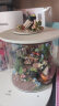 我の屋DIY小屋圆梦瓶哈利魔法花园手工制作玻璃瓶房子玩具生日礼物女友 实拍图