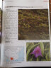 中国野生兰科植物原色图鉴（套装上下册） 实拍图