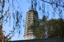 佳能/Canon RF70-200 RF24-70  R RP  RF系列 微單鏡頭二手鏡頭 RF 70-200/F2.8 L IS USM 99新 曬單實拍圖
