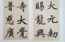 歷代碑帖經(jīng)典單字放大本：元 趙孟頫膽巴碑 曬單實(shí)拍圖