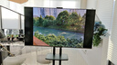 華為（HUAWEI）智慧屏vision 3系列 AI攝像頭240Hz鴻蒙智能4K超高清液晶智能液晶平板電視機 65英寸 Vision 3 曬單實拍圖