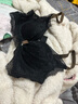 ERTP性感蕾絲乳膠內(nèi)衣女小胸聚攏文胸套裝舒適無鋼圈上托胸罩新款 白色(2CM上薄下厚杯）套裝 85B =38B (舒適無鋼圈） 曬單實拍圖
