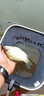達億瓦（DAIWA） DAIWA達億瓦 枯法師七代 并繼鯽魚竿臺釣竿手桿碳素釣竿日本進口 4.2m 14尺 曬單實拍圖