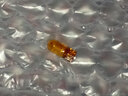 CMD適用于福特?？怂蛊?chē)后視鏡轉向燈蒙迪歐倒車(chē)鏡轉向燈反光鏡配件專(zhuān)用燈泡左-主駕(請按需要選擇) 曬單實(shí)拍圖