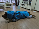 寵星記 大狗狗雨衣 寵物四腳全包雨衣 中大型犬 雨天衣服金毛薩摩哈士奇 藍(lán)色 30碼 曬單實(shí)拍圖