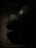 direct action戰(zhàn)術(shù)背包20L通勤DUST戶外EDC登山包龍蛋雙肩包赫利肯塵埃 Black黑色 曬單實拍圖