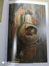 于安東油畫(huà)作品 名校 名師 名作 北京工藝美術(shù)出版社 曬單實(shí)拍圖