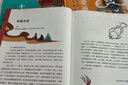 看懂敦煌系列（套裝3冊，敦煌關(guān)鍵詞 十個人與敦煌 壁畫里的莫高窟） 曬單實拍圖