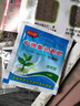 黃芩種子中藥材非野生黃芩籽四季種植苗抗旱能力強(qiáng)可泡茶另柴胡 黃芩種子50克裝 曬單實(shí)拍圖