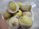 京地達碭山酥梨凈重9斤大果350g+ 中秋送禮 雪梨貢梨子 源頭直發(fā) 包郵 曬單實(shí)拍圖