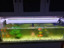 森森魚缸白色上下可拉伸過濾槽頂過濾槽雨淋式過濾盒水族箱上置過濾器 白色上下拉伸套餐10 曬單實拍圖