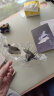 翊玄玩具 歼20模型仿真隐形战斗飞机儿童玩具合金航模军事摆件礼物 实拍图