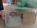 威毕兔笼兔子笼家用室内专用大号荷兰猪豚鼠松鼠刺猬小型狗笼方便清粪 白色大号-6件套 实拍图