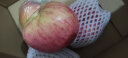 莹多爱 当季红富士苹果 丑苹果 2023年新鲜水果 黄肉苹果 产地直发 带箱 带箱子5斤中果 实拍图