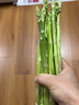 文枝新鮮蘆筍5斤當季農家蔬菜綠蘆筍青筍春筍龍須菜 5斤 青蘆筍 中筍0.8-1.2cm 曬單實(shí)拍圖