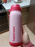特百惠（Tupperware）吸管保溫杯510ml 304不銹鋼真空保溫杯大容量男女學(xué)生水杯 吸管保溫杯-粉色 510ml 曬單實(shí)拍圖