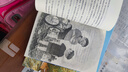 譯林出版社海底兩萬(wàn)里四年級正版書(shū)小學(xué)版原著(zhù)兒童課外讀物人民小說(shuō)教育文學(xué)書(shū)籍必讀五年級儒勒凡爾納合集 極地特快 艾爾斯伯格 曬單實(shí)拍圖