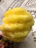 ZXC泰國(guó)小菠蘿 新鮮去皮迷你小菠蘿 普吉島進(jìn)口水果 順豐 2斤7-10個(gè) 曬單實(shí)拍圖