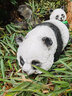 半語太陽能兔子燈戶外發(fā)光兔子防水仿生動(dòng)物燈公園造型燈庭院裝飾燈 熊貓 A款太陽能-暖光【一只】 曬單實(shí)拍圖
