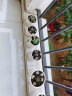 裕轩堂多肉组合随机花盆陶瓷绿萝吊兰室内创意简约多肉大号桌面阳台盆栽 2个17厘米花盆 小 实拍图