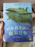 從紙鶴和紙船開始的故事（全2冊）兒童文學(xué)7-12歲二三四五年級小學(xué)生課外閱讀科普探險故事書 曬單實拍圖