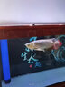 仟湖專用龍魚燈大魚缸LED燈龍魚燈紅龍金龍發(fā)色燈8色促進龍魚增艷增色 178cmLED上置燈8色二代 曬單實拍圖