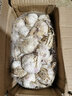 壽禾 小根蒜種子韭蔥干大蒜頭香蒜種籽蔬菜山蒜薤白壽光秋冬季菜籽 農家大蒜（可出蒜薹）2500g 曬單實(shí)拍圖