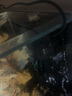 捷寶（Jebao）智能變頻造浪泵水族箱沖浪器強磁吸設計海水淡水迷你小型造流泵 安靜-360°【2代】0.3-0.6米魚(yú)缸 曬單實(shí)拍圖