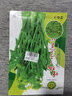 壽禾 增城遲菜心種子蔬菜種籽秋冬季菜苔四季陽臺菜籽 老包裝]增城一號甜菜心王種子10g 曬單實(shí)拍圖