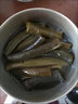 九味天正宗淡干海筍干 新鮮海產(chǎn)干貨冰筍干煲湯涼拌海藻菜 海筍250g*6袋 曬單實(shí)拍圖