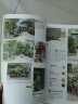自然风小庭院设计——植物选择与搭配 实拍图
