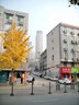 中一（zhongyi）17mm f0.95大光圈人像鏡頭適用EM10III em5 om10 GX9 GH6 g95d微單廣角鏡頭M43卡口定焦鏡頭 銀色(微單手動(dòng)鏡頭) M4/3卡口(松下奧林巴斯微 曬單實(shí)拍圖