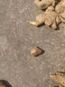 采緹（CAITI）采緹（CAITI）云南小黃姜文山黃姜食用小黃姜月子姜 5斤【小黃姜】 精選小黃姜（高原種植） 曬單實(shí)拍圖