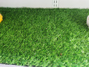 鑫碩草業(yè)人造草坪仿真假草皮地毯戶(hù)外人工綠色裝飾室內外足球場(chǎng)幼兒園草坪 1.0cm軍綠-原包超密 曬單實(shí)拍圖
