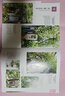 從零打造小院 庭院、菜園、陽臺(tái)花園的簡單創(chuàng)意技巧 曬單實(shí)拍圖