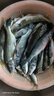 客友釣具客友悍風(fēng)鯽魚竿37調(diào)超輕超細(xì)超硬魚竿釣魚竿手竿臺(tái)釣竿鯽魚桿漁具 3.6m 悍風(fēng)鯽 曬單實(shí)拍圖