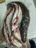 安峰山安峰山黑魚(yú)烏魚(yú)新鮮財魚(yú)現殺淡水大黑魚(yú)活魚(yú)酸菜魚(yú)片術(shù)后滋補燉湯 一條裝【每條約1.5斤】 黑魚(yú) 曬單實(shí)拍圖