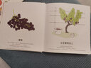 呀！蔬菜水果 曬單實(shí)拍圖