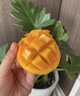 懿鮮匯海南小臺農芒果小臺芒【JD順豐-送貨上門(mén)】當季新鮮水果 1500g【精選裝】 曬單實(shí)拍圖
