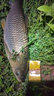化氏 餌料魚(yú)餌競技休閑餌基礎餌 散炮打窩料魚(yú)食鯽魚(yú)鯉魚(yú)160克超誘（谷香型 誘釣兼備）  160克超誘 曬單實(shí)拍圖