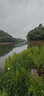 達億瓦（DAIWA） DAIWA達億瓦 枯法師七代 并繼鯽魚竿臺釣竿手桿碳素釣竿日本進口 4.2m 14尺 曬單實拍圖